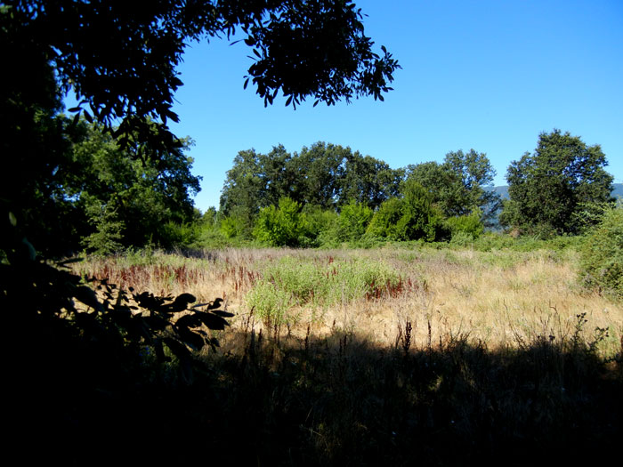 Alan Chadwick's first garden site in Covleo, Round Valley, California