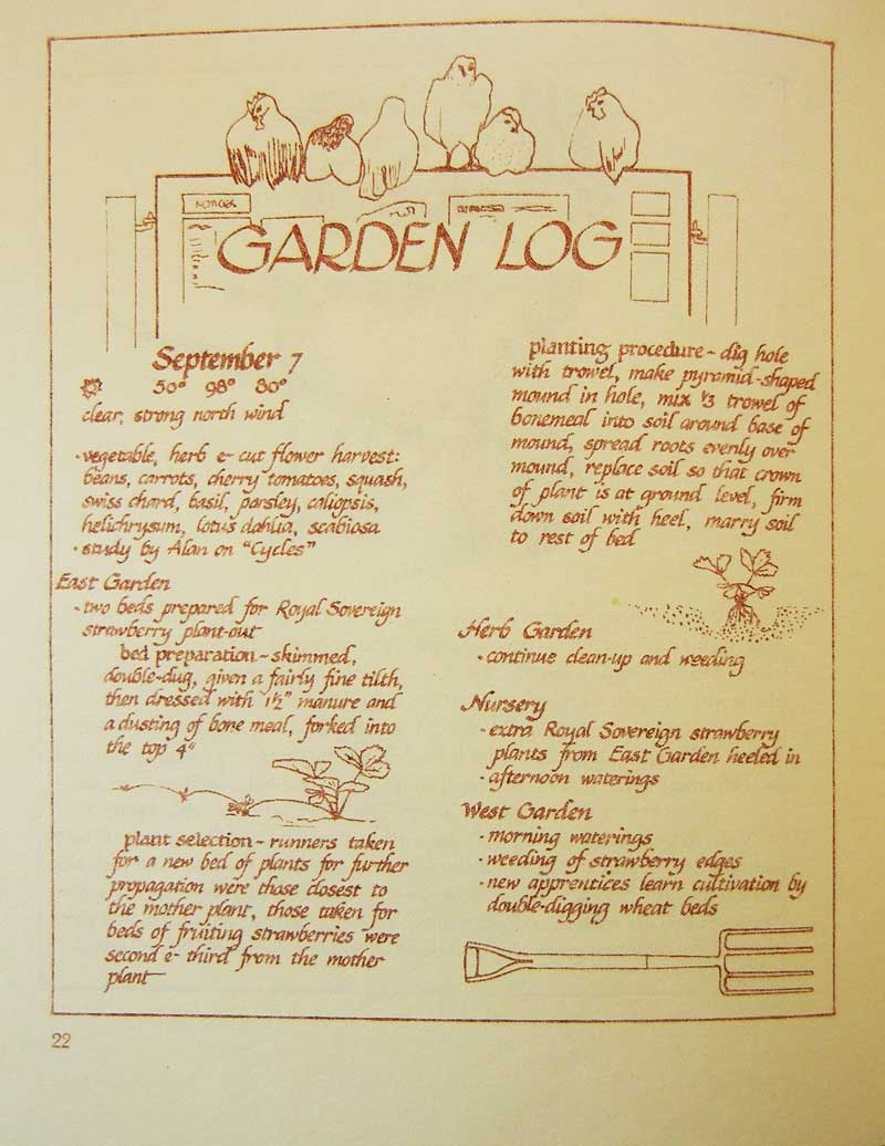 Garden Journal 22