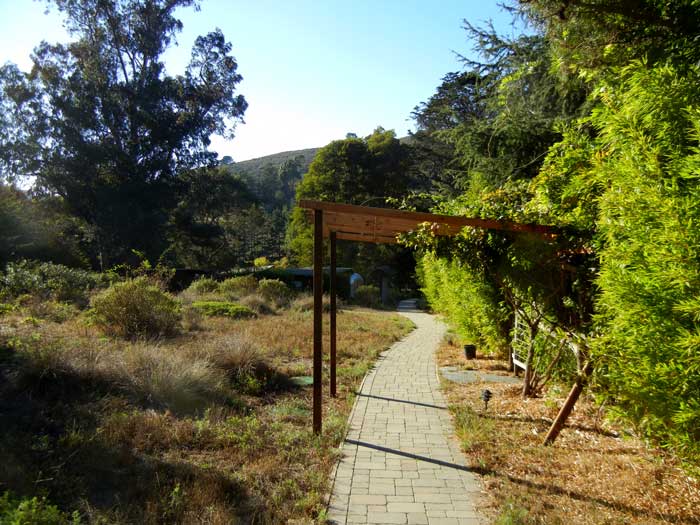 Looking down the valley of the original Chadwick garden,