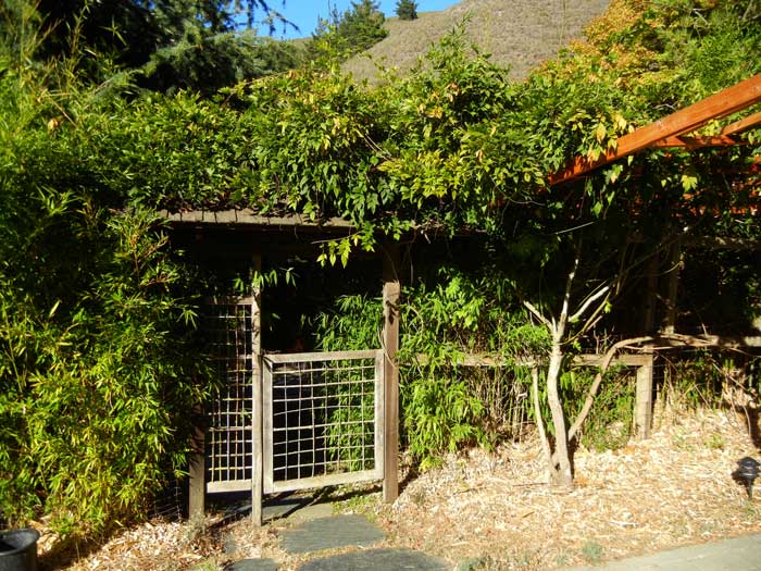 The entrance to one of the houses located on the site of the old Chadwick garden