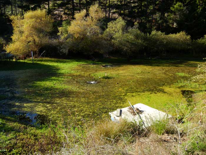 The upper irrigation pond