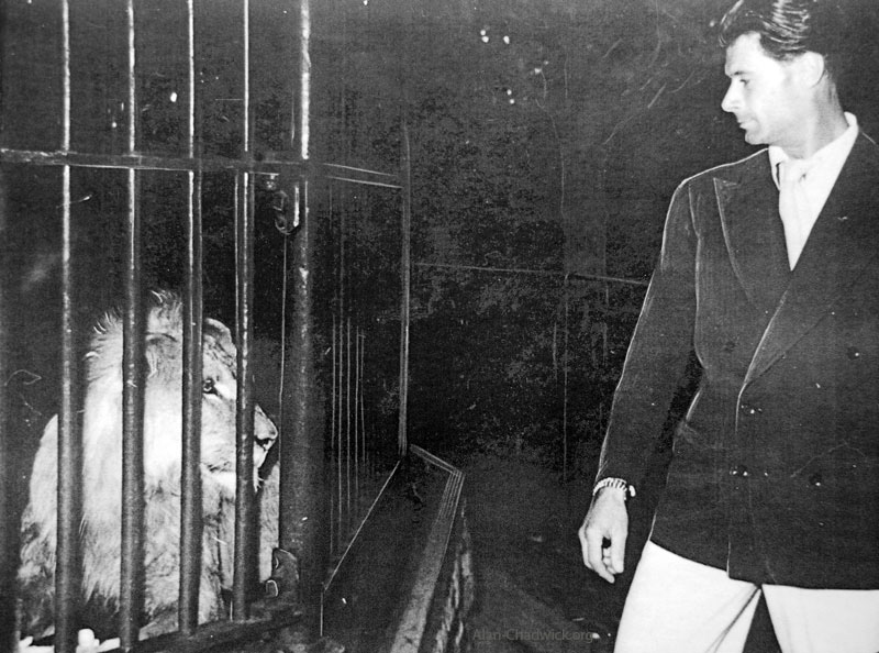 Alan Chadwick in Theatrical Role with Lion
