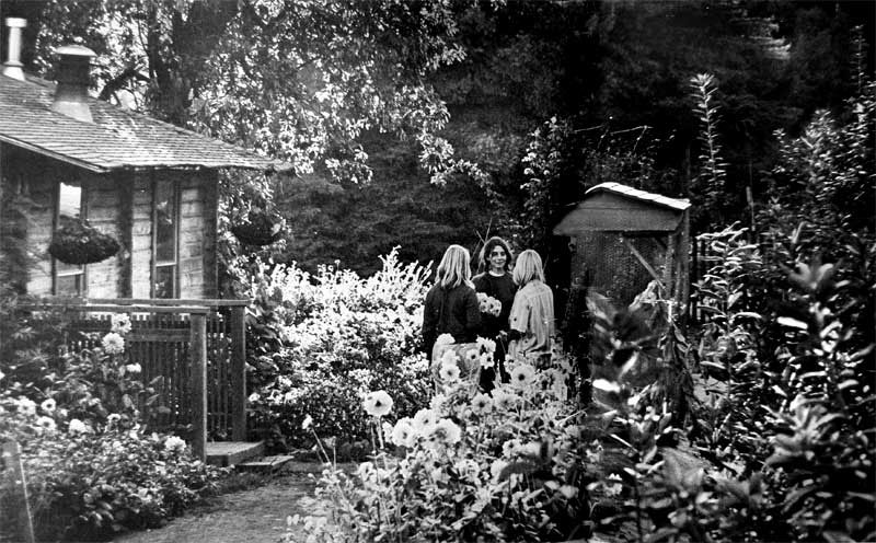 Kathleen Dickey and others at the UCSC garden