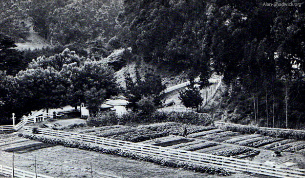 The original Alan Chadwick gardens at Green Gulch Farm