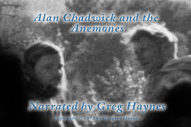 Alan Chadwick and the Anemones