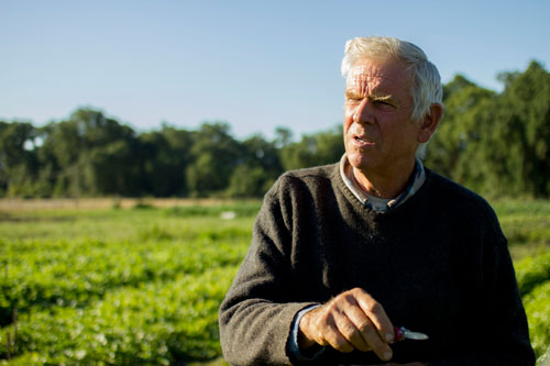 Stephen Decater at Live Power Community Farm in Covelo, California, site of the Alan Chadwick garden