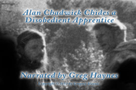 Alan Chadwick gently chides a disobedient apprentice