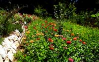 The Alan Chadwick Garden at the University of California at Santa Cruz