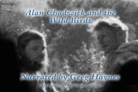 Alan Chadwick and the Wild Birds