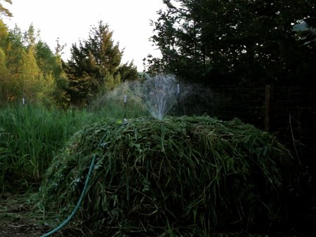 Watering a compost pile